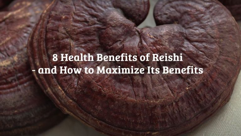 8 Health Benefits Of Reishi Mushroom